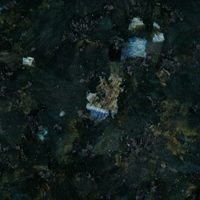 Labrador Lundhs Emerald Pearl