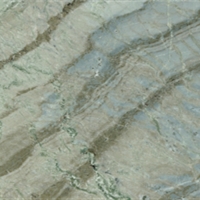Corteccia