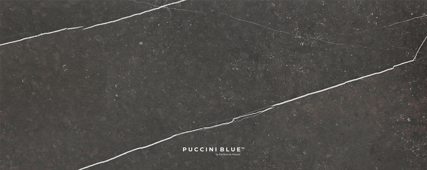 mn_mn_puccini_blue